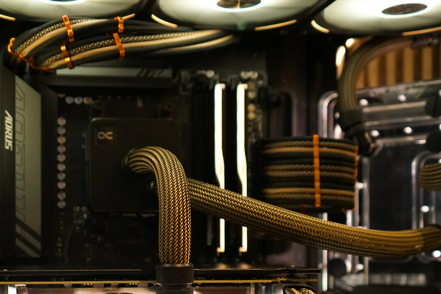 El Dorado 8PIN EPS - Image 3